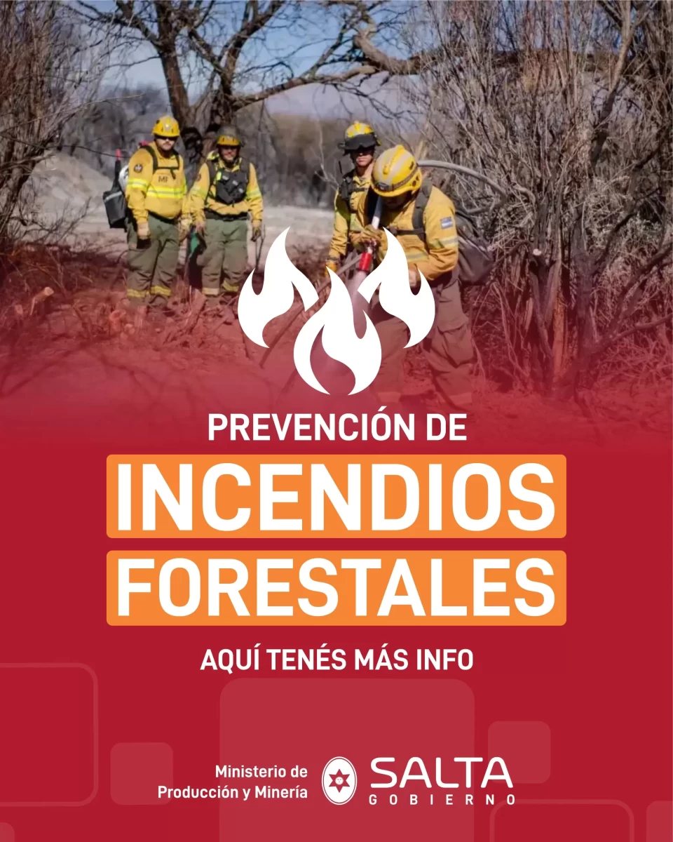 BANNER INCENDIOS