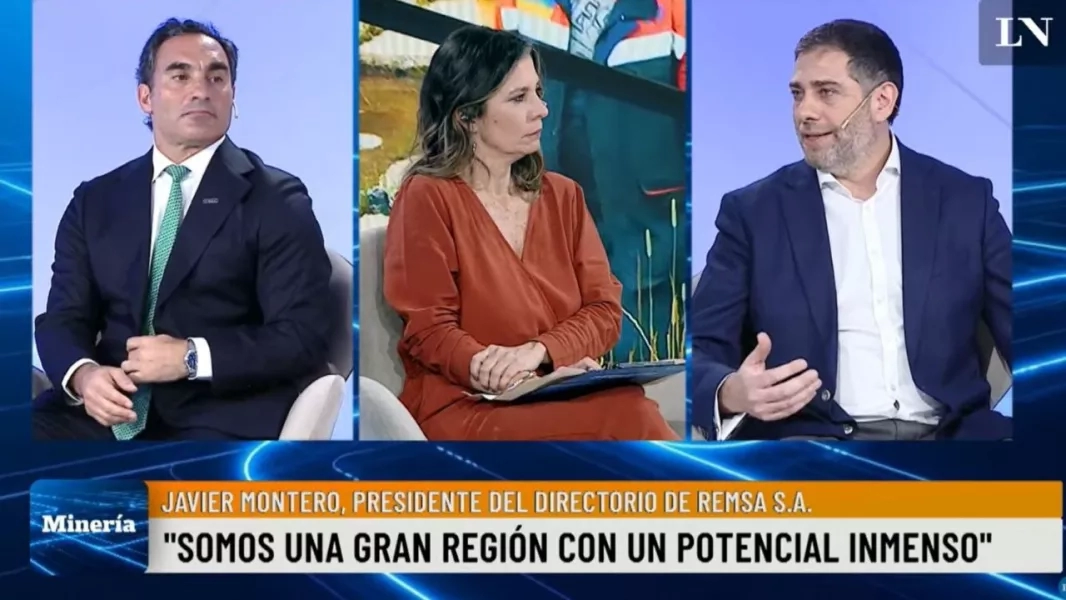 REMSa participó de un evento digital sobre minería