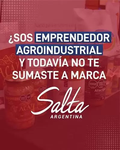 marca salta