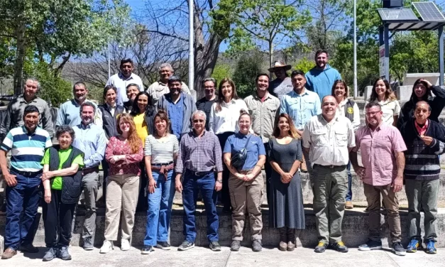 Salta participó en el taller para la elaboración del Plan Estratégico Nacional para la Conservación de la Taruca