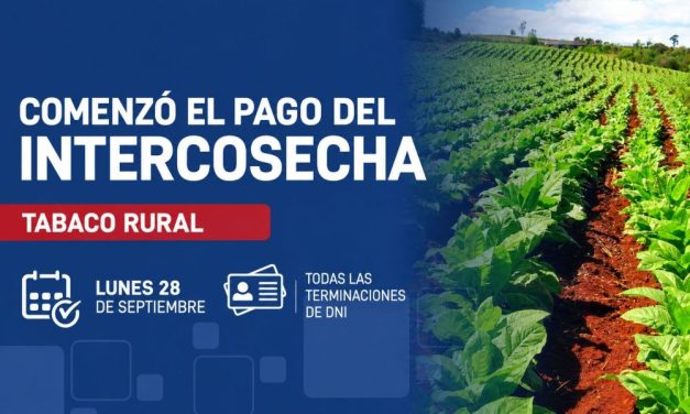 Los trabajadores del sector tabaco rural tienen depositados los fondos del programa Intercosecha